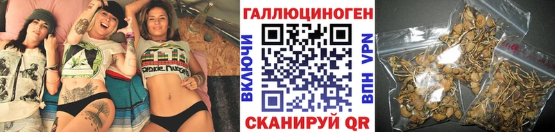 Купить  Малгобек  Псилоцибиновые грибы Cubensis 