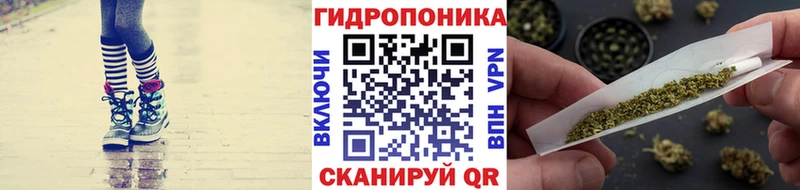 Шишки марихуана SATIVA & INDICA  Купить закладки  Малгобек 